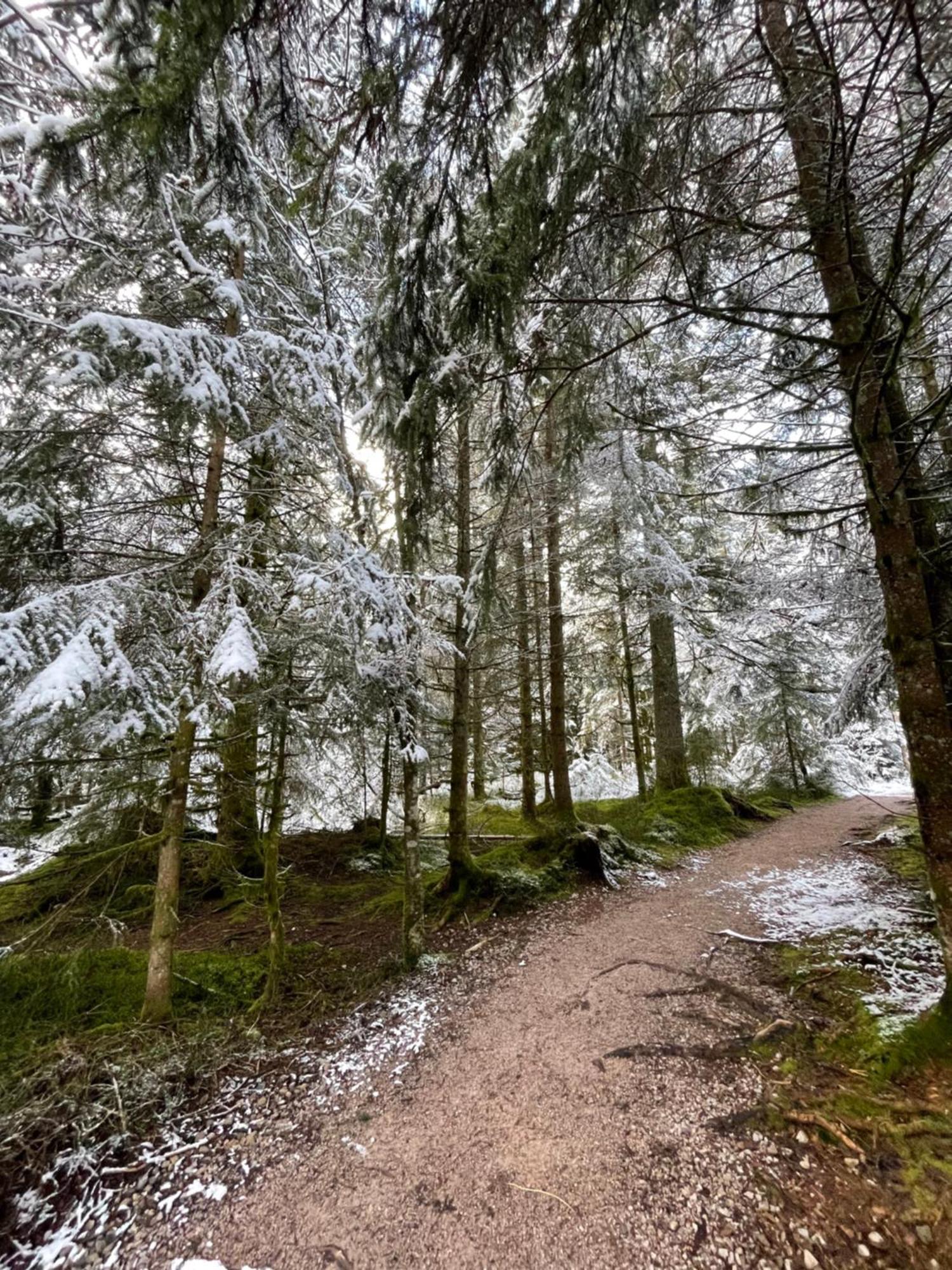 Casa Black Forest - Freudenstadt Kniebis Bagian luar foto